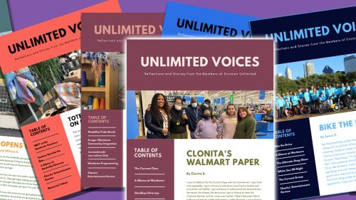 Unlimited Voices-Vol. 31