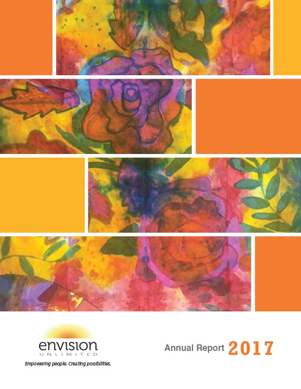 2017 Annual Report cover