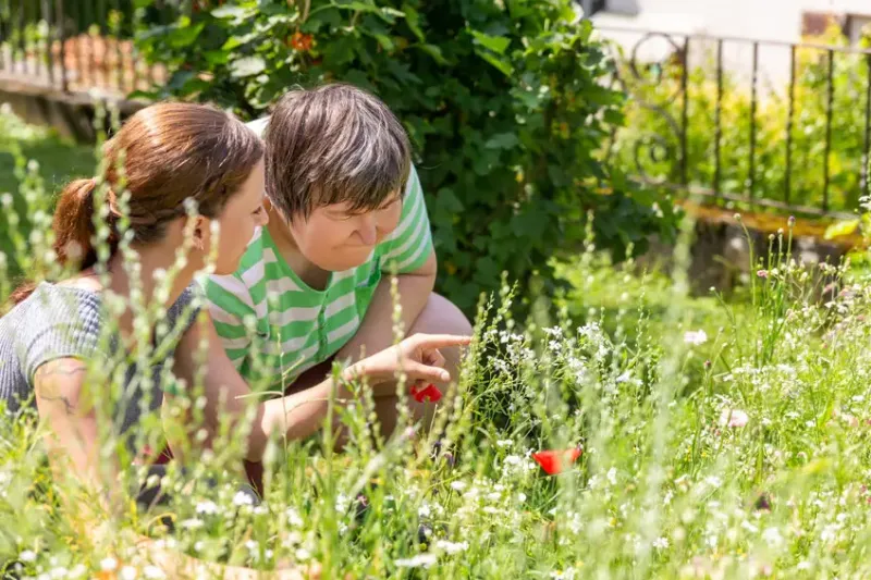 Two people observing plants in a garden.